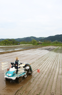 山田　田植え5.jpg